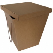 Картонные коробки для доставки больших букетов, крышка дно трапеция , из 3 слойного гофрокартона бур/бур р-р (низ)268*(верх)378*(выс)422.