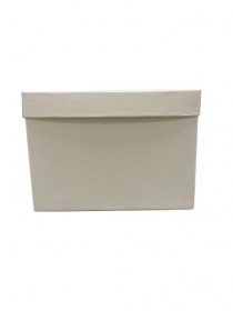 Коробка картонная для цветов серия "Квадрат Люкс". Декоративная р-р 250*250*180мм. Цвет белый/белый. Крышка + дно. 