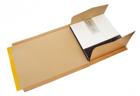 Картонная коробка 265*265*10-40мм для доставки книг и холстов бур/бур